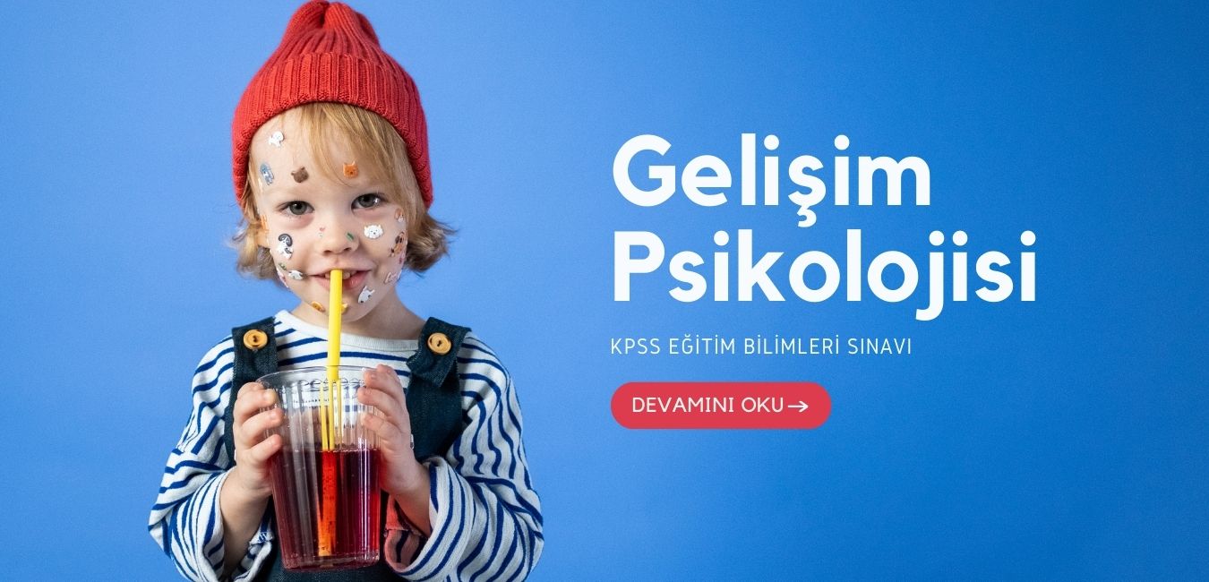 Gelişim Psikolojisi Cinsel Gelişim Kısa Notlar